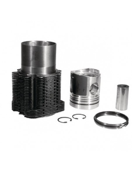 Ansamblu Piston Ø 102 mm 02925623