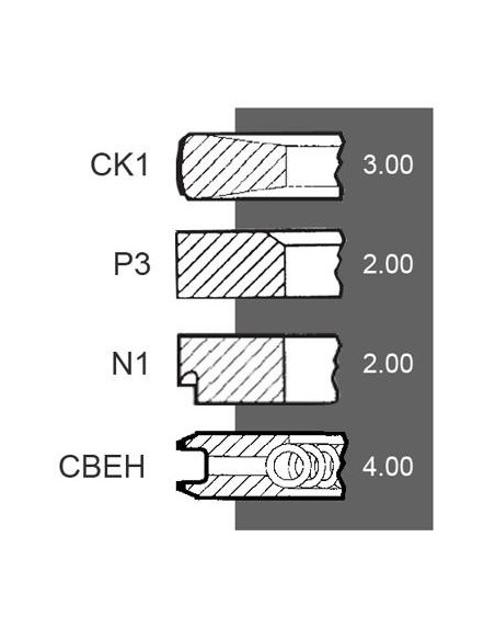 Segmenti Piston Ø 105 - 3x2x2x4 mm F285200310100