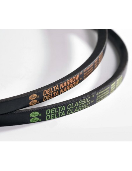 Curea 22X06302LI6365Ld C248 Gates Delta CLASSIC