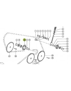 Pinion 19,05X21Z Claas
