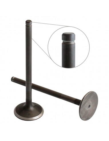 Supapa Evacuare 41x8x137.80 mm Iveco 153624389, 153625962, 4821711, 8825776, 8830045