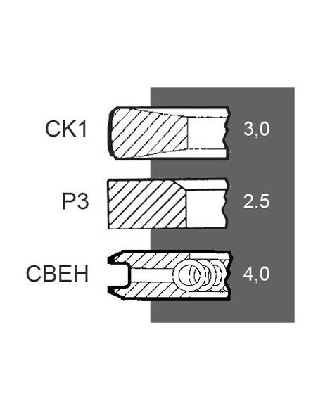 Piston Ring Set Ø 115-3x2.5x4 mm Fiat 1902408, 1909757, 1909994, 1930234, 1930753, 75208073, 8092267 Piston Ring Set Ø 115-3x2.5x4 mm Fiat 1902408, 1909757, 1909994, 1930234, 1930753, 75208073, 8092267