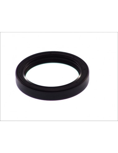 Simering 50x65x10 mm 527.858