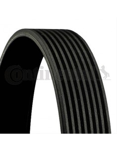 Curea Transmisie 8PK1795 mm
