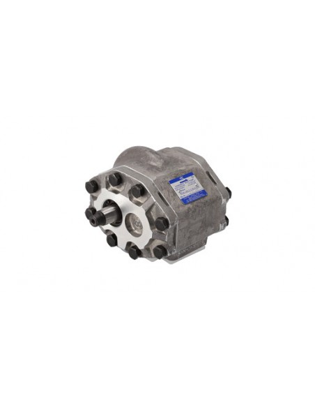 Hidraulic Pump 110509C91, 128180C91, 308873A1, 327987A1, 327988A1, 406763R91, 406763R92, 406827R91, 550132825, 66513C91, 66513C9
