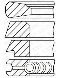 Piston Ring Ø 100-3x2x2x4 mm F281202310021, F281202310040, F281202310050, Renault 7701032429, 7701201833 2