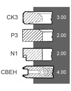 Piston Ring Ø 100-3x2x2x4 mm F281202310021, F281202310040, F281202310050, Renault 7701032429, 7701201833 2