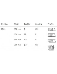 Segmenti Piston Ø 98-2.5x2.5x2.5x5 mm (+1.00)
