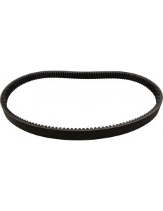 189662C2, 193945C1, 193945C2, 244422A1, 244422A2, 244422A3, 244422A4, 244422A5, CA244422A1,