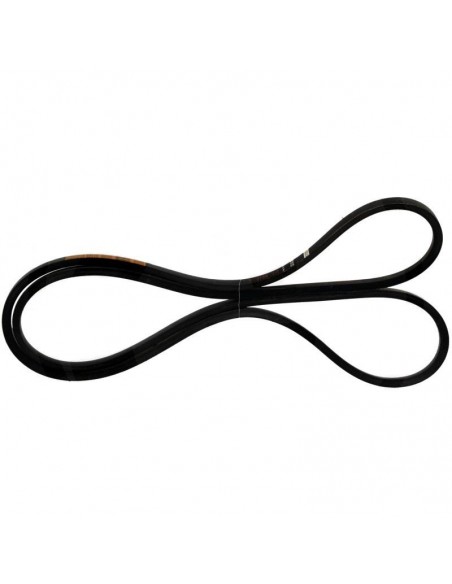 Belt, Rotor Drive Belt Case IH  244423A1, 244423A2, 244423A3, 244423A4, 244423A5, 396735A1