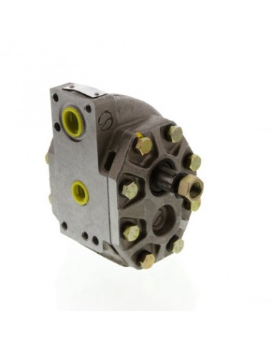 Hydraulic Pump 110509C91, 128180C91, 308873A1, 327987A1, 327988A1, 406763R91, 406763R92, 406827R91, 550132825, 66513C91, 66513C9