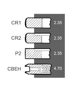 Ring Set Ø 111.76 mm +0.030" Ford New Holland 81814545, 83917470, 3917470, 87295224, CFPN6149BE, DJPN6149Y 2