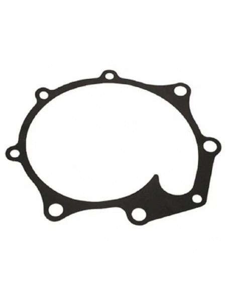 Garnitura Pompa Apa Ford New Holland 81805692, 83956719, 83959398, C5NE8513A, D6NN8513A, E6NN8513AA