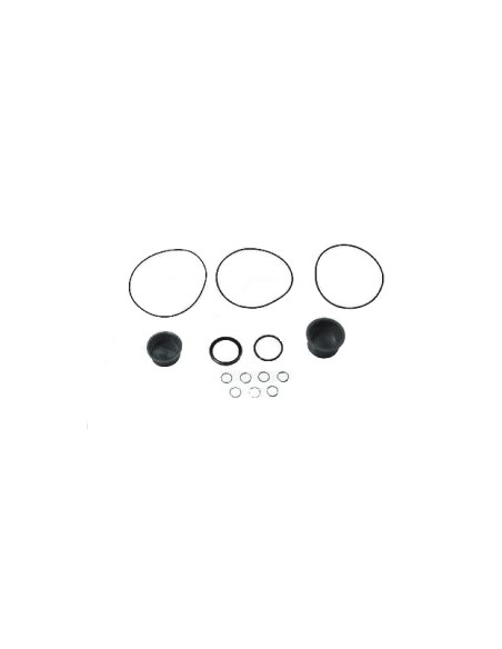 Kit Reparatie Danfoss VPJ4012
