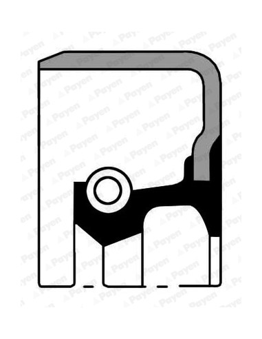 Simering 57.2x76.2x12.7 mm PAYEN NA736