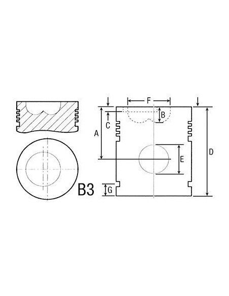 Piston cu Segmenti Ø 105 mm STD SLH 1053P-1056P 004600606 Piston cu Segmenti Ø 105 mm STD SLH 1053P-1056P 004600606