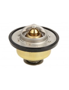 Termostat RE538289