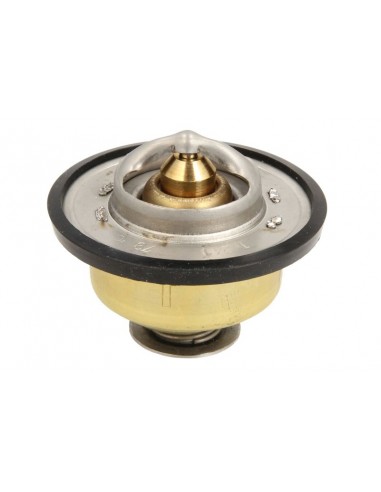 Termostat RE538289