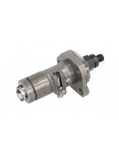 Pompa Injector 24619030030