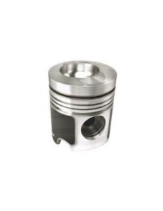 Piston 101.6 mm Deutz-Fahr 04159904, 02137974