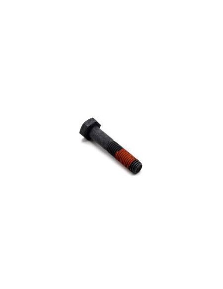 Surub M10x45 mm