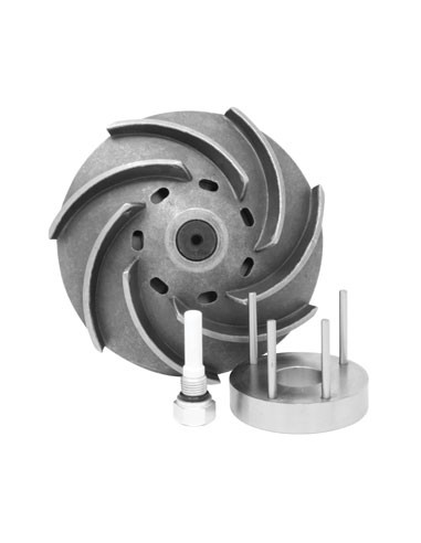 DZ102107, RE538873, RE548846, RE553432, SE502545