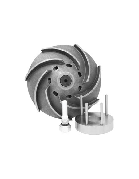 DZ102107, RE538873, RE548846, RE553432, SE502545