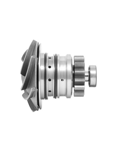 DZ102107, RE538873, RE548846, RE553432, SE502545