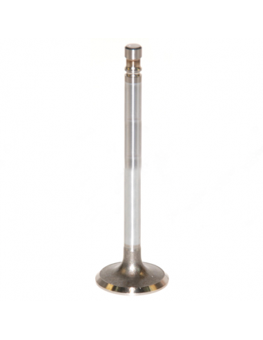 Supapa Admisie Fiat 4579416