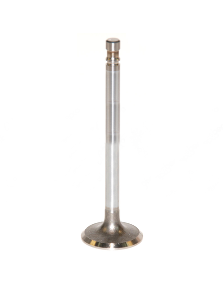 Inlet Valve Fiat 4579416