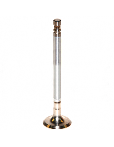 Exhaust Valve Fiat 4579417