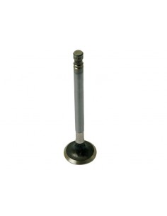 Exhaust Valve Fiat 4579417