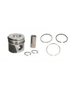 Piston cu Segmenti STD Ø 104 mm Case IH 8094740, 1931221, 8093880, 84177720, 87317251, 87647549, 2855531, 4897980, 118094740
