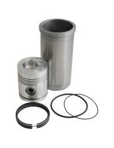 Ansamblu Piston 100 mm