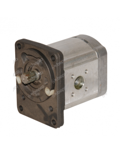 Hydraulic Pump 19 Cm³ Fendt F385940010010, F385.940.010.010, 1 517 222 721, AZPF-11-019LFB20MM, AZPF11019LFB20MM
