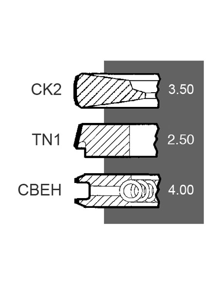 Piston Ring Set Ø 100 - 3.5x2.5x4 mm 4181A026, 3641316M91, 3640594M91, 4181A025, 4181A023, 02-200020, 02-201140, 02/200315