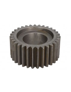 Pinion Satelit Z-31 48/6431-94