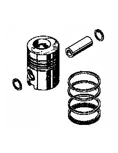Piston cu Segmenti 95.88 mm 0.002.7982.4
