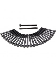 RE532993, R85363, R516516, 6005012886