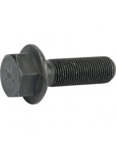 Screw 5/8"X2" John Deere 19H3343, E47108