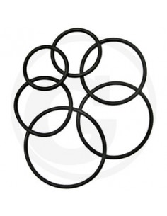 O-Ring Ø 9x5x3 mm 570009.0X3.0/10
