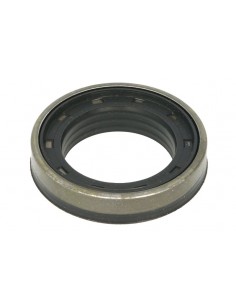 Simering 45x70x14/17 mm 0533965R1, 053965R1, 247519A1, 3765528M1, 3785500M1, 533965R1, 53965R1, 6300161M1, 84295344, 132741,