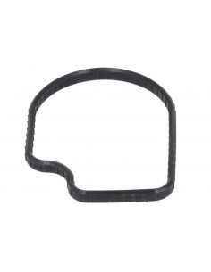 R501228, Gasket, Thermostat Housing