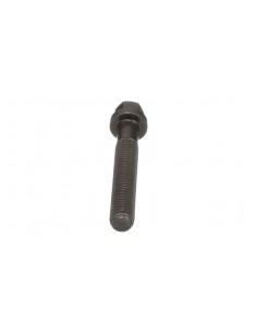 Screw, Cylinder Head M14x80 mm Cummins 3917729, J917729, 02/911092, 1483915, 75286698, 87773004 2