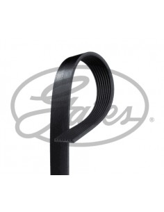 Curea Transmisie 8PK1655 mm