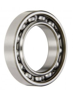 Bearing Ø 40x68x15 mm 84156144, 6008