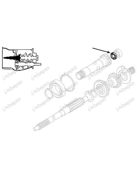 Simering Ø 30x38x6 mm Massey Ferguson 883935M2, 883935M3, 883935M4, 883935R4