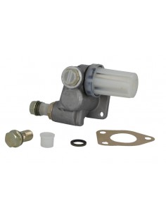 Fuel Pump 87800631, 0440008110, 0440008109, FP/KG24P218, FPKG24P218