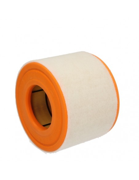 Filtru Aer Motor C15010