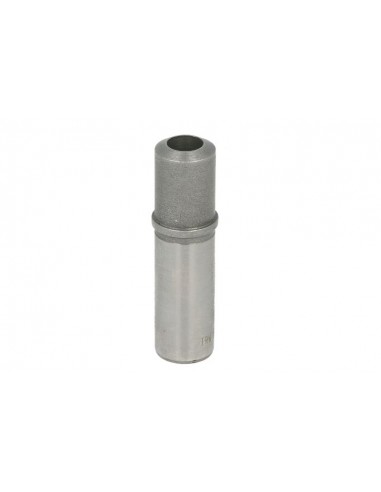 Ghid Supapa 9x15x58 mm F139207210230, 12164633, 0122996700, 0123025200, 0123025300, 6005002002, 6005002003